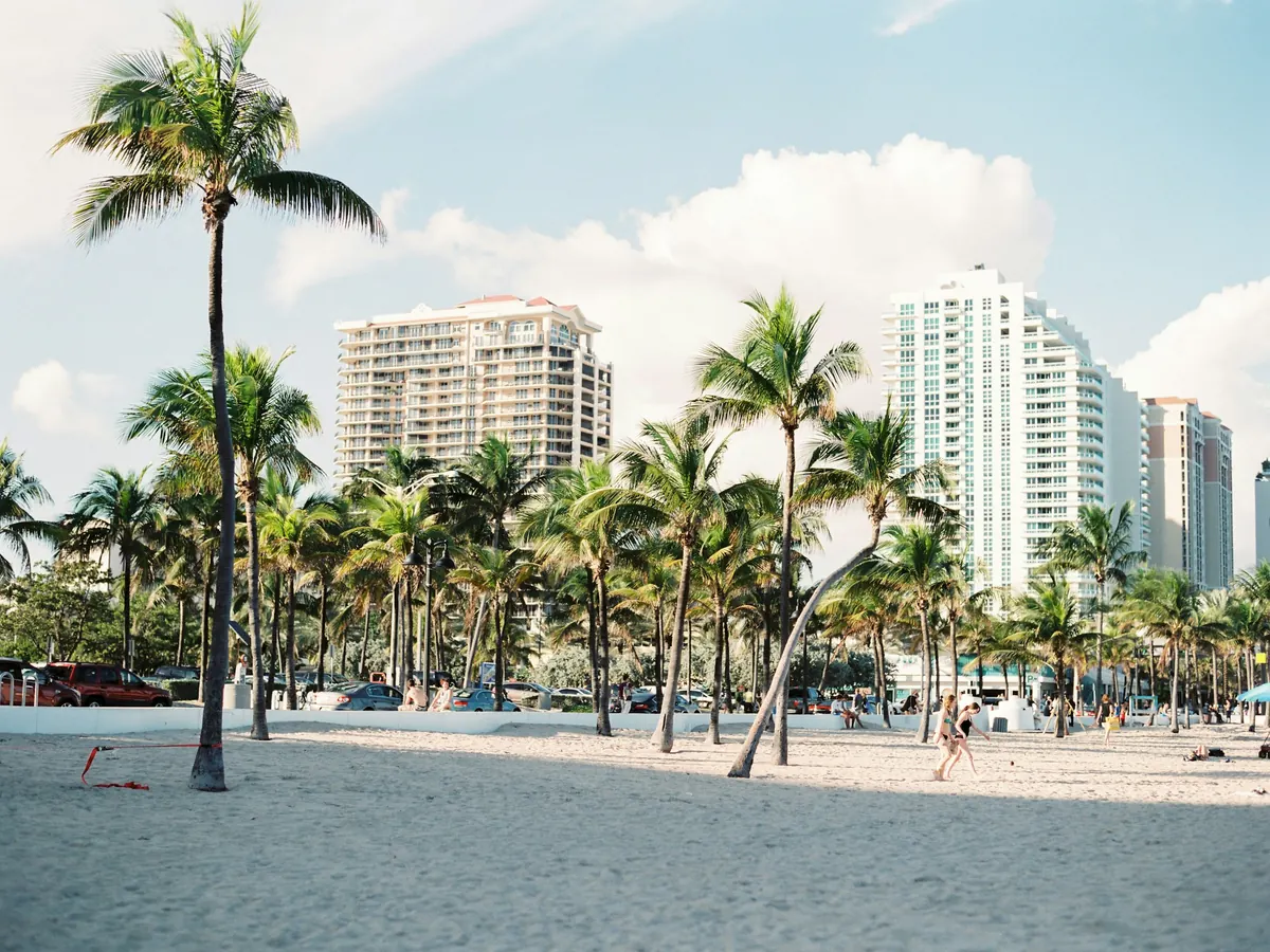 Palms and high-rise apartments along a South Florida beach