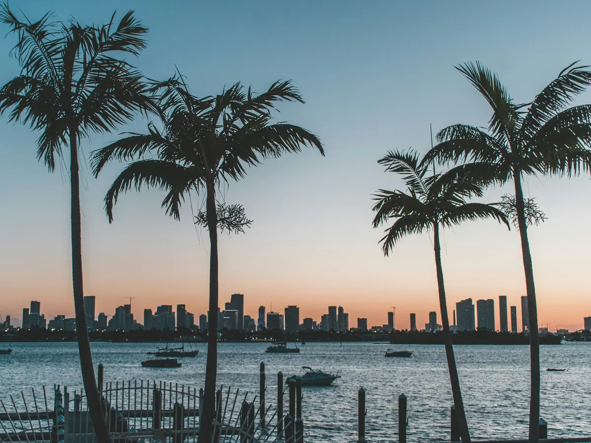 Palm trees and a city skyline at sunset in South Florida