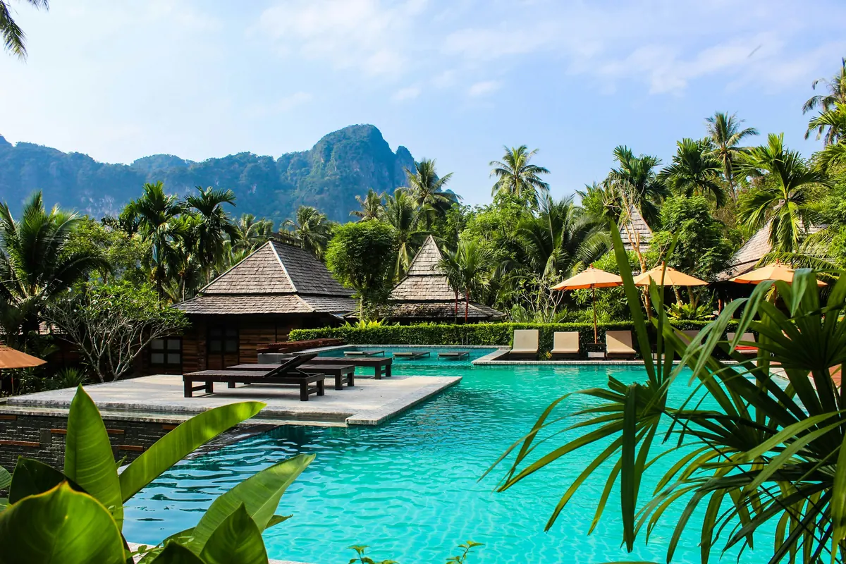 A palm-fringed resort pool surrounded by green planting
