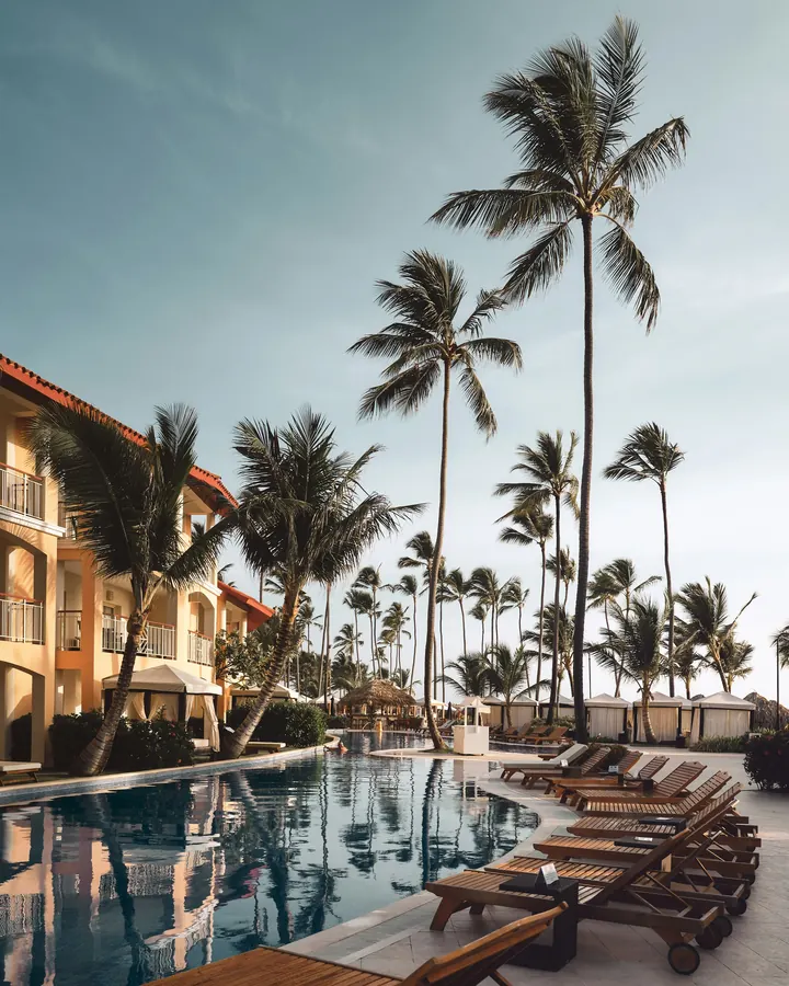 A resort pool framed by palms