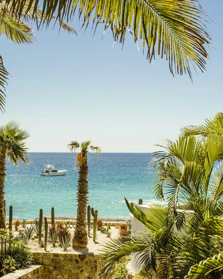 Palms beside a turquoise sea