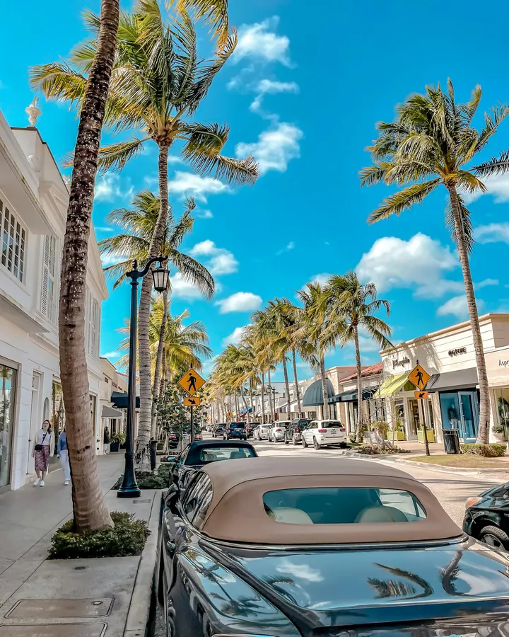 A classic car parked beneath palms on a Palm Beach street
